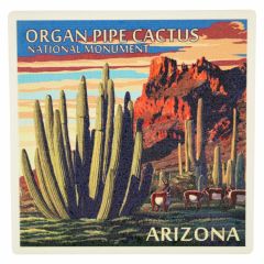 Organ Pipe Cactus National Monument Coaster