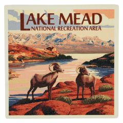 Lake Mead National Rec. Area Coaster