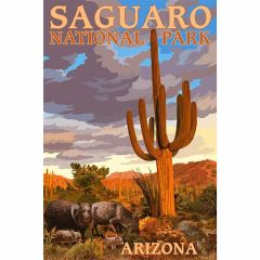 Saguaro National Park Javelina Scene Print