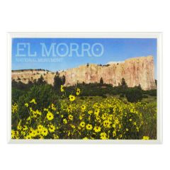 El Morro National Monument Magnet - Daisies