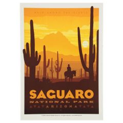 Saguaro National Park Sticker - Sunset Graphic