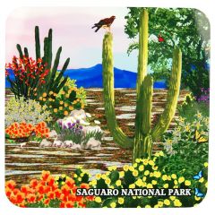 Saguaro National Park Coaster - Sonoran Spring