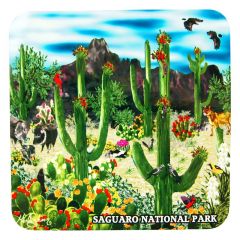 Saguaro National Park Coaster - In Bloom