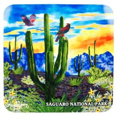 Saguaro National Park Coaster - Santa Rita Sunset