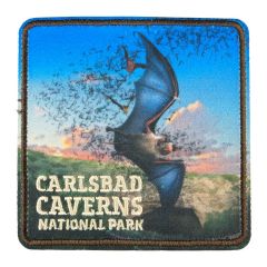 Carlsbad Caverns National Park Patch - Outflight