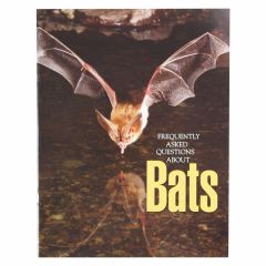 Frequently Asked Questions About Bats