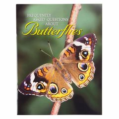 Frequently Asked Questions About Butterflies