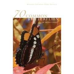 70 Common Butterflies of the Southwest