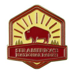 See America's National Parks Pin - Hexagon