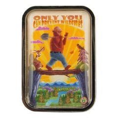 Smokey Bear Pin - Log Bridge