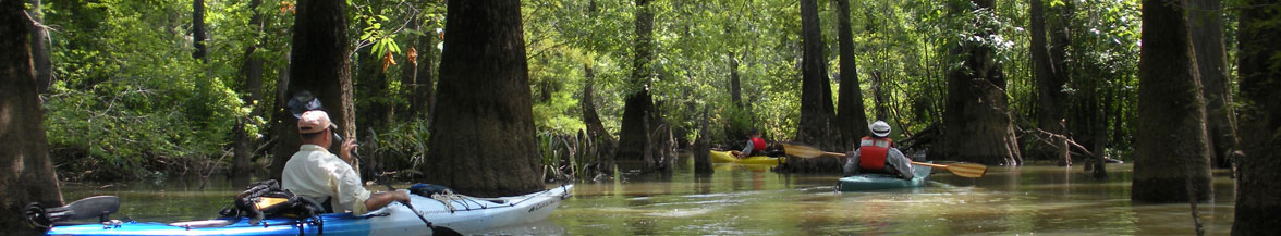 Big Thicket National Preserve