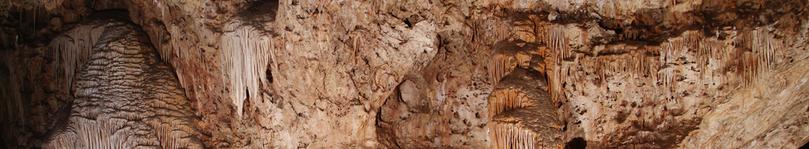 Carlsbad Caverns National Park