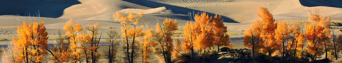 Great Sand Dunes National Park & Preserve