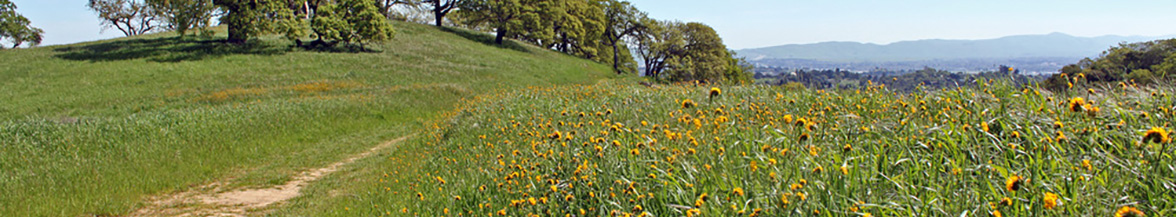 John Muir National Historic Site