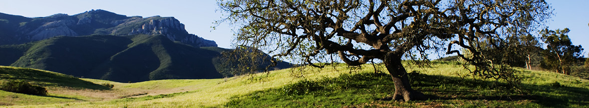 Santa Monica Mountains National Recreation Area